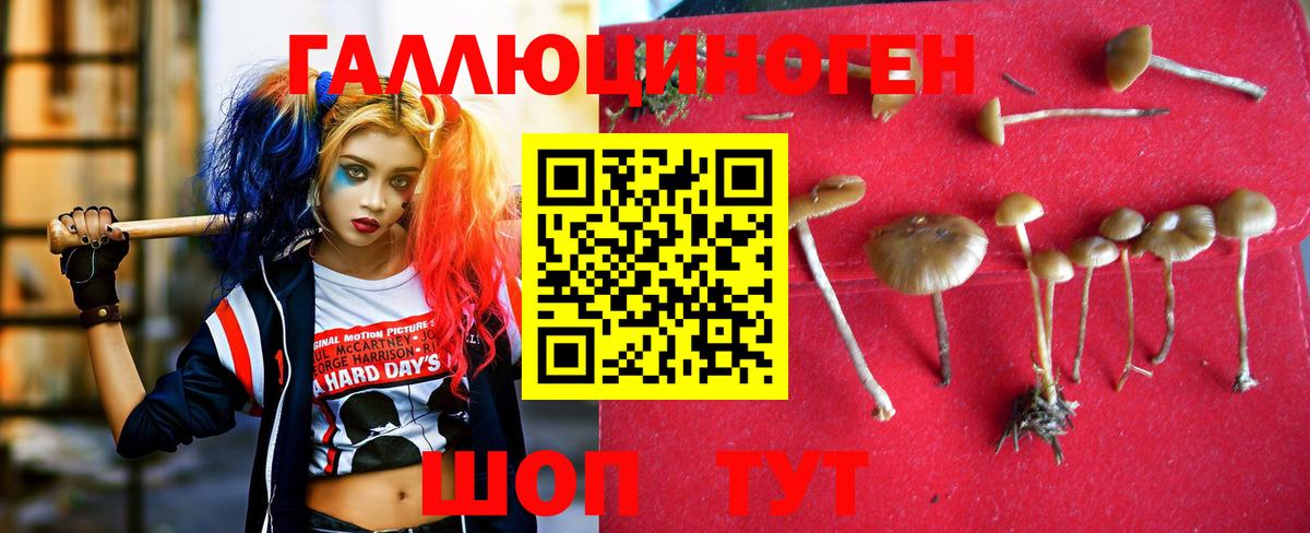 Псилоцибиновые грибы ЛСД Северск