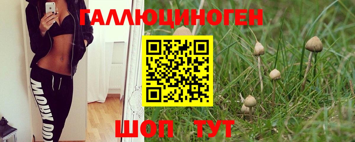 Галлюциногенные грибы Psilocybine cubensis  Вход с VPN  купить   Северск 