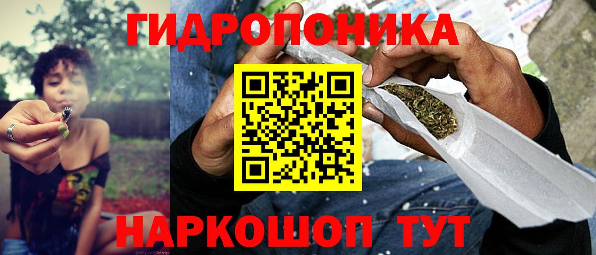 Бошки Шишки марихуана Северск